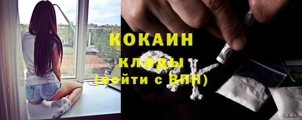 ПСИЛОЦИБИНОВЫЕ ГРИБЫ Абаза