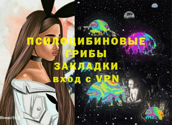 ПСИЛОЦИБИНОВЫЕ ГРИБЫ Абаза