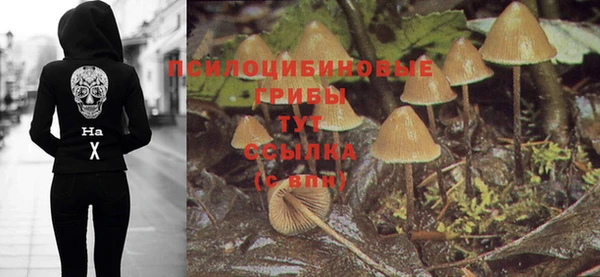 дмт Каменка